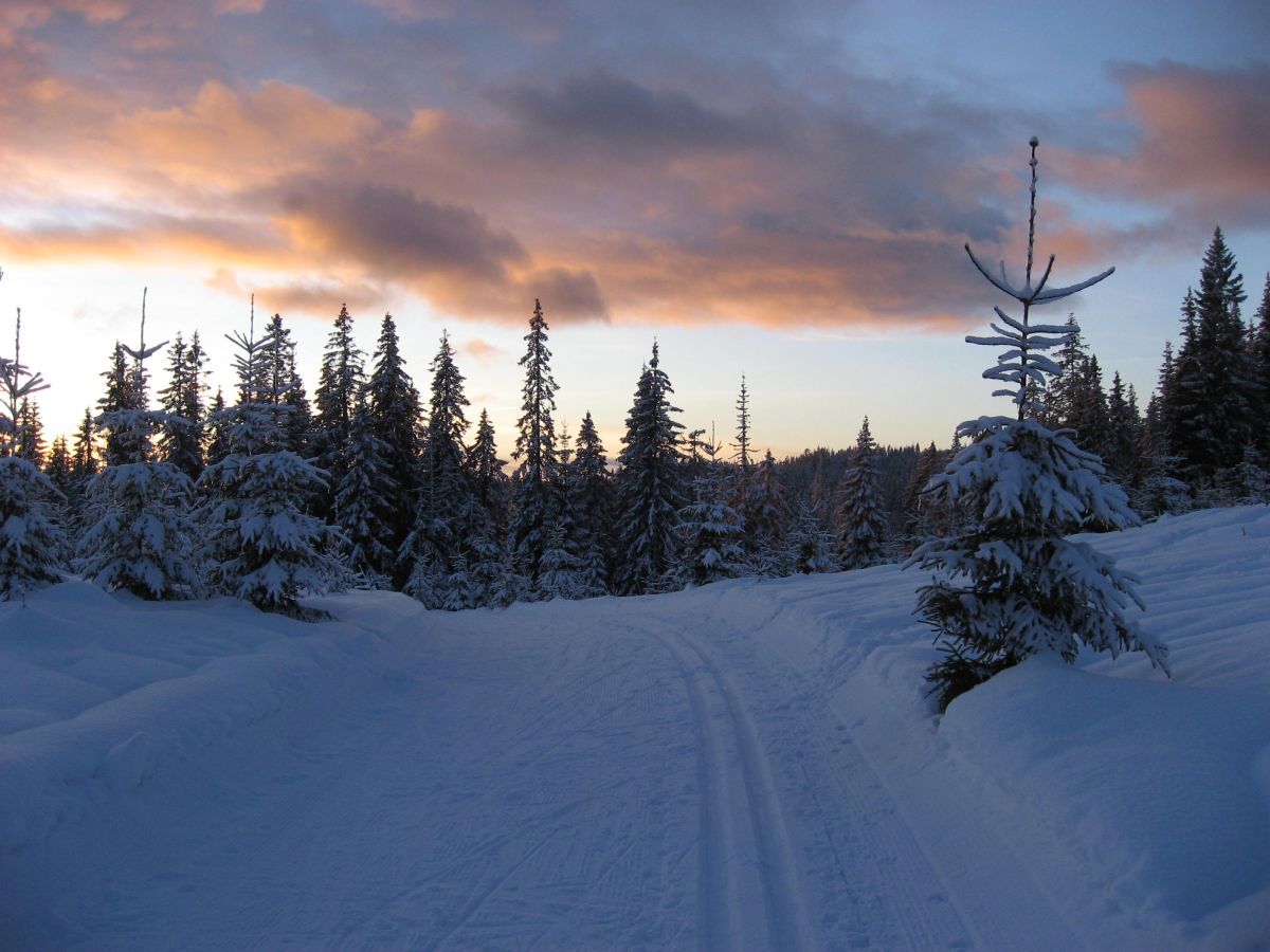 Treningsrunden på Ringkollen