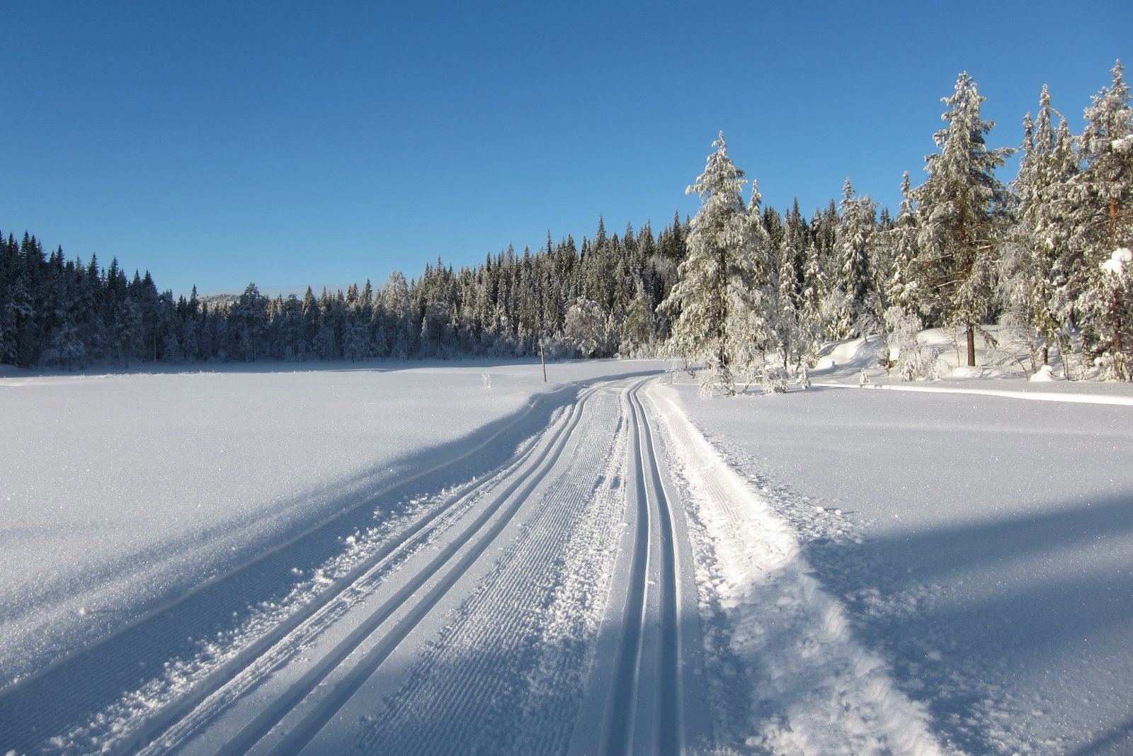Trikkeskinner på Stormyra