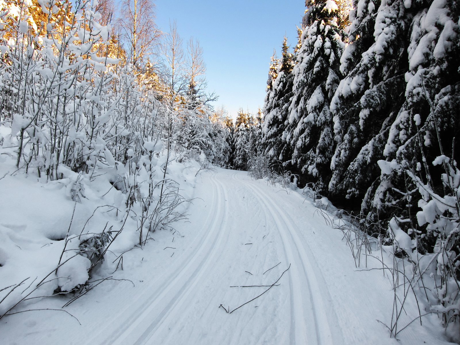 Trikkeskinner ved Haukelia