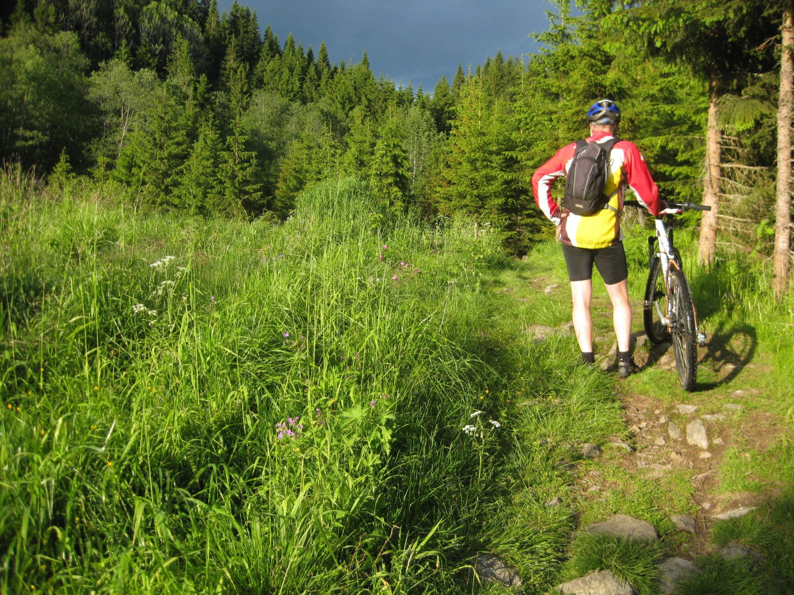 Trillesti mot Knappa