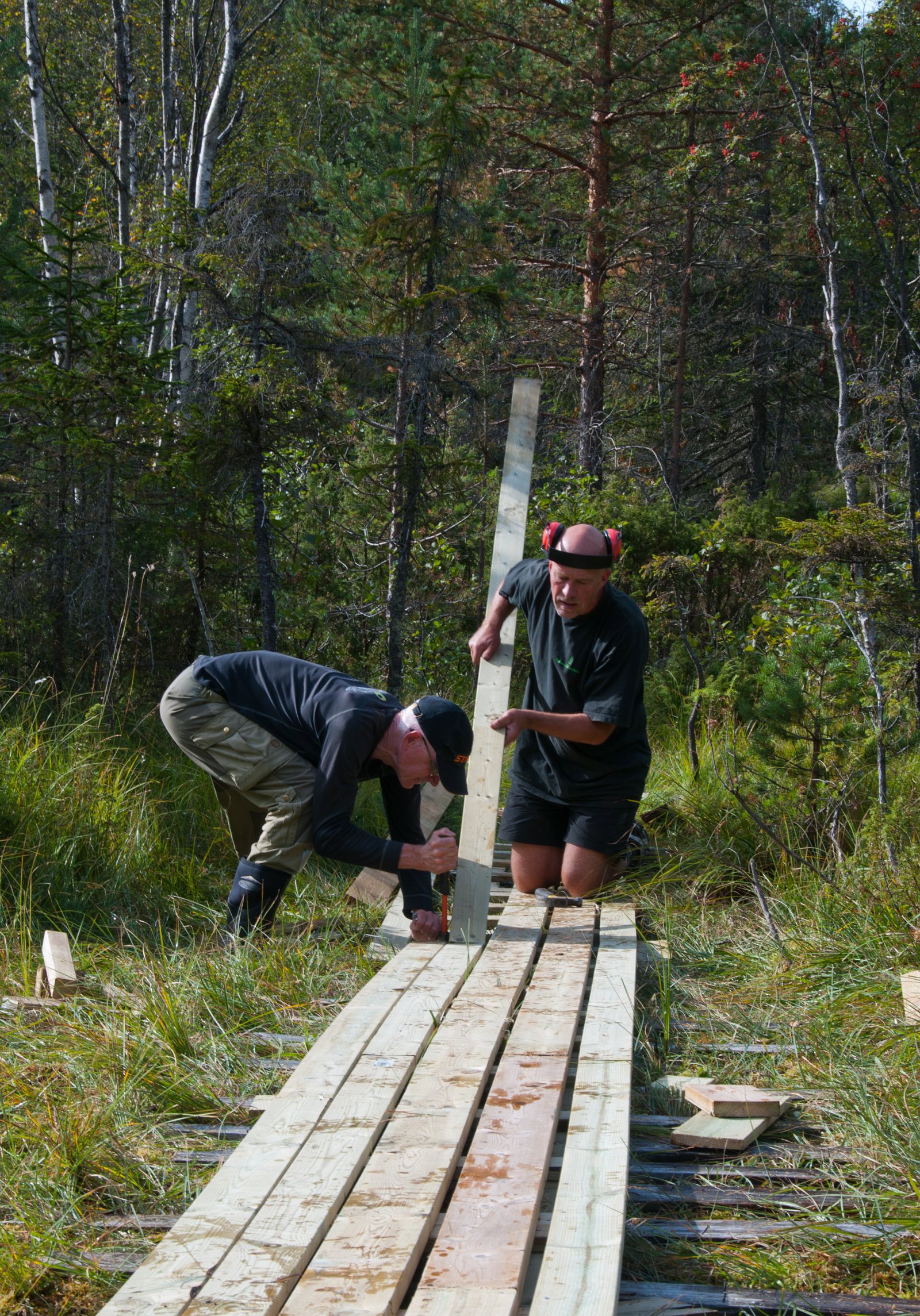 Trillesti ved Gjermåa