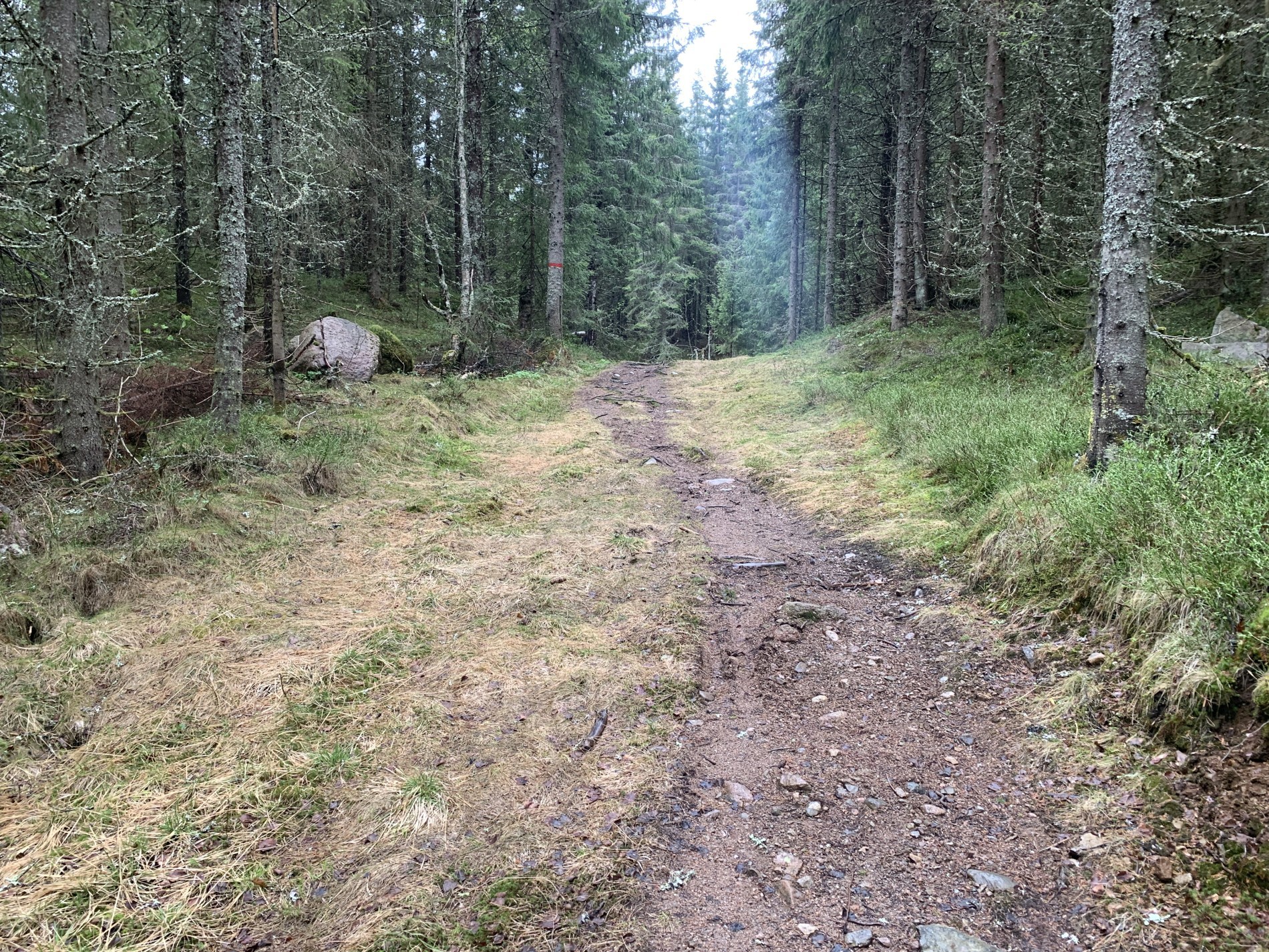 Trillestien ved Knappa - alle i ett spor