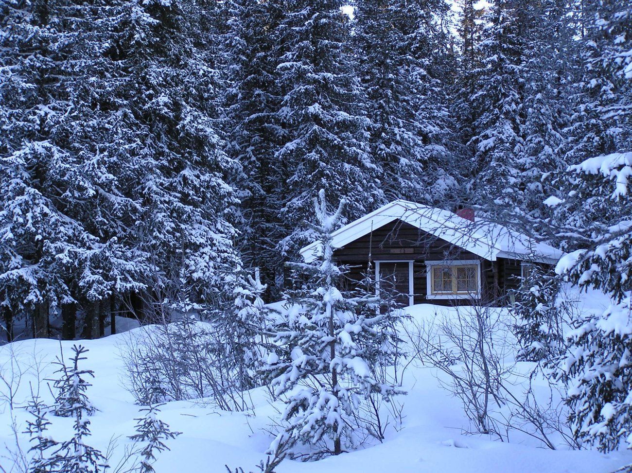 Trollheim i blå morgentime