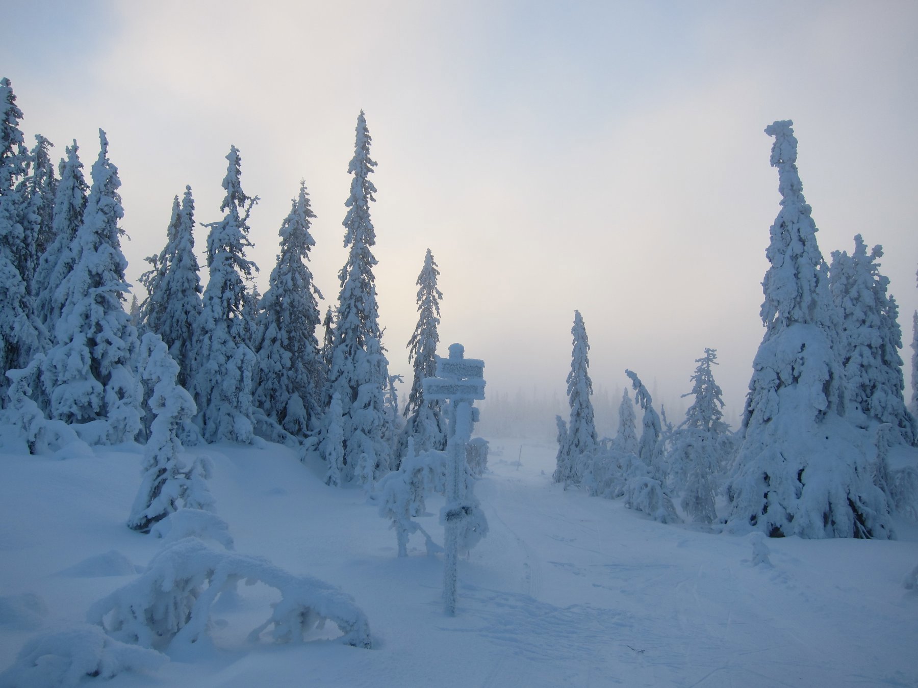 Trolsk på Glåmhaugen