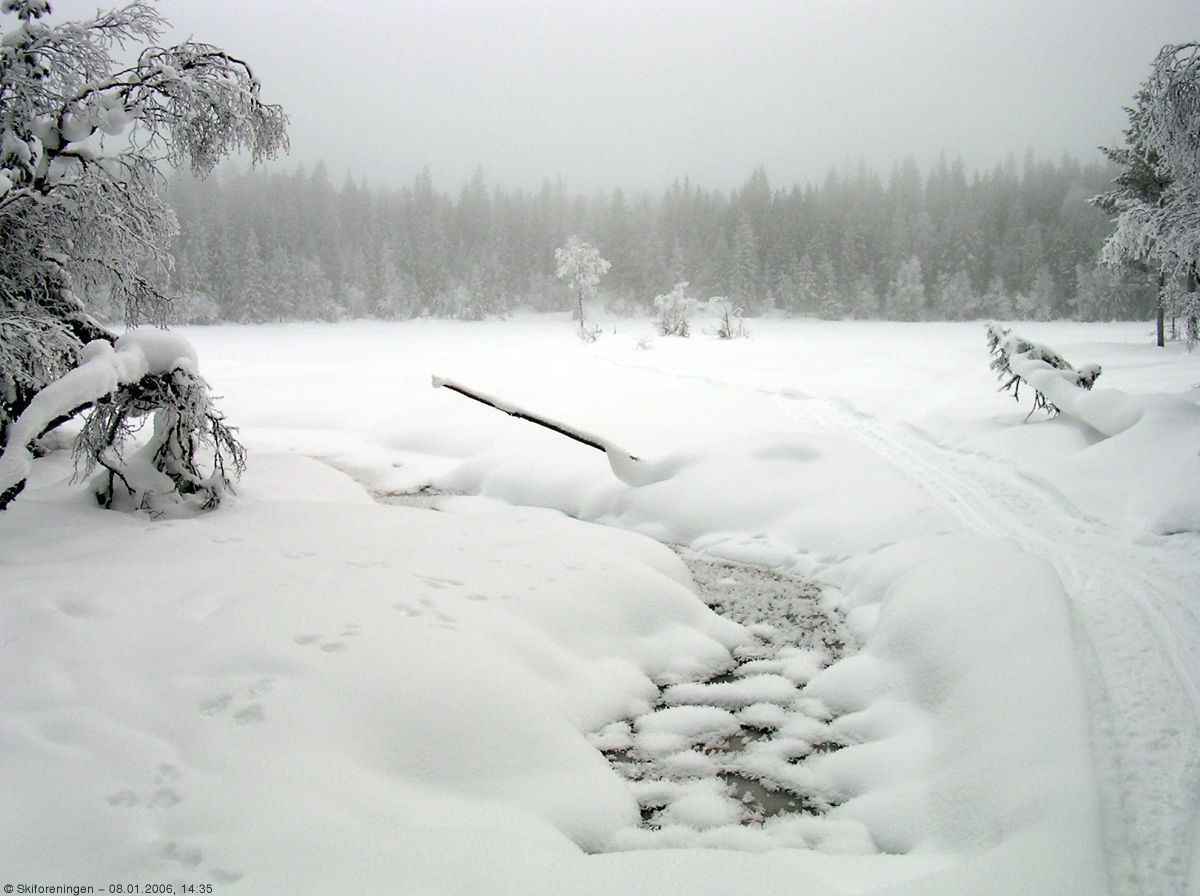 Trolsk stemning ved Kusteintjern