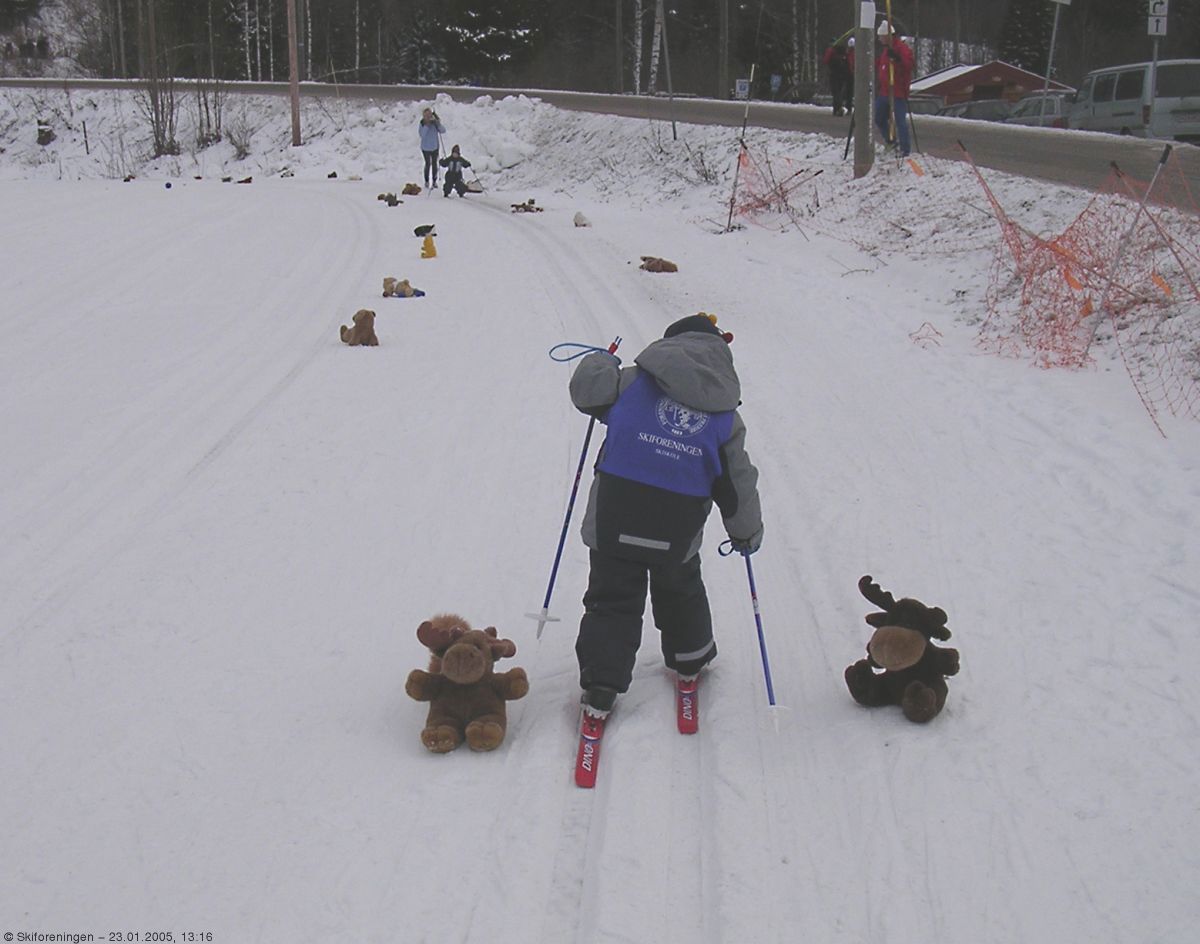 Trygt å gå mellom elgene!