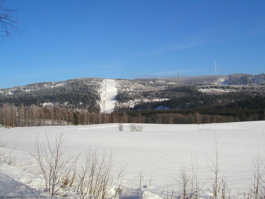 Tryvannsåsen og Ringeriksflaka fra vest