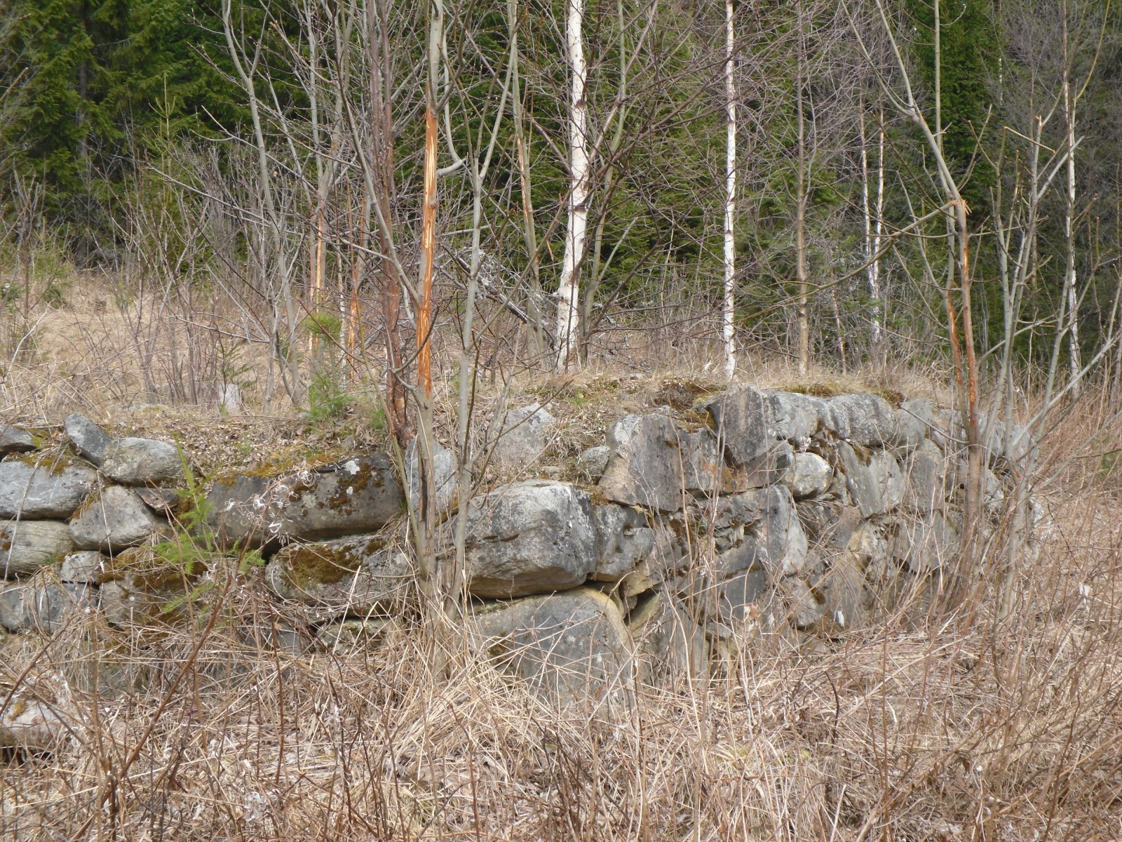 Tufter etter husmannsplassen Gjerdinga