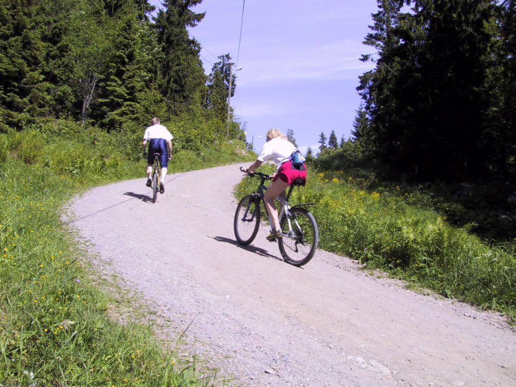 Tunge tråkk ved Frønsvollstråkka