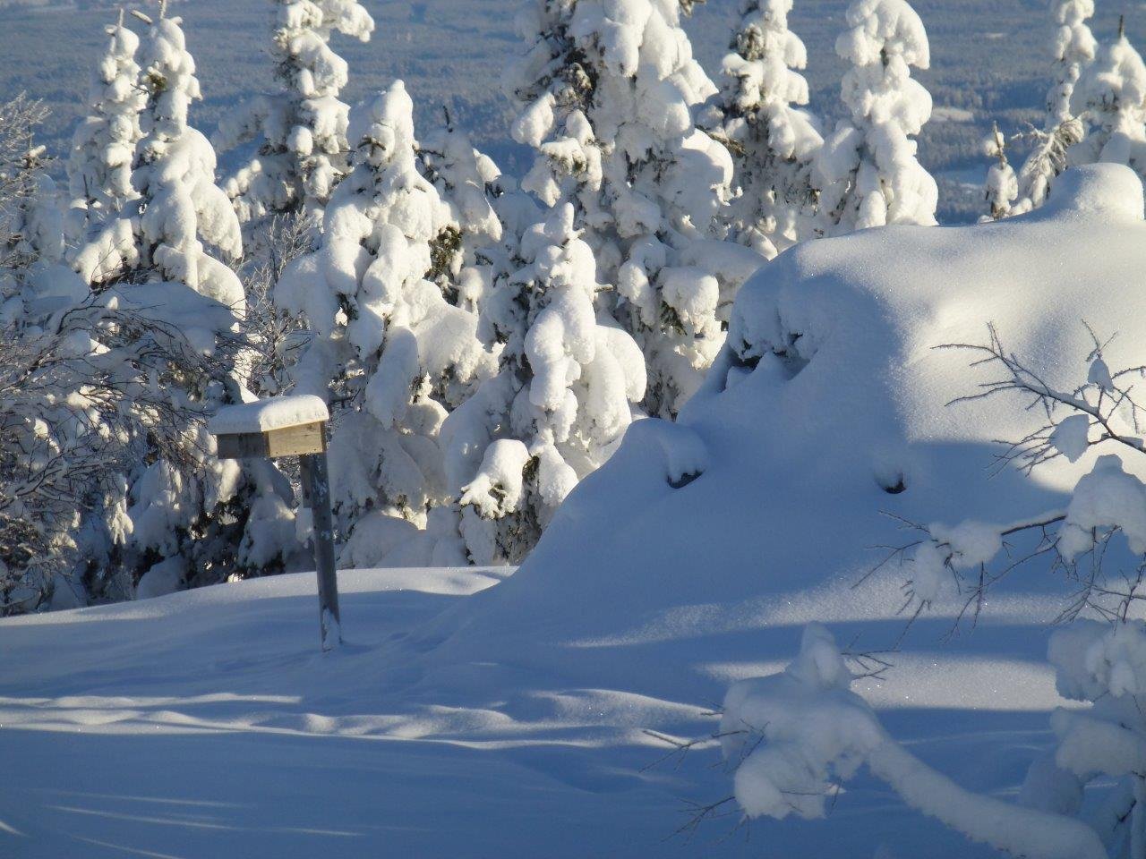 Turboka ved varden på Skreikampen