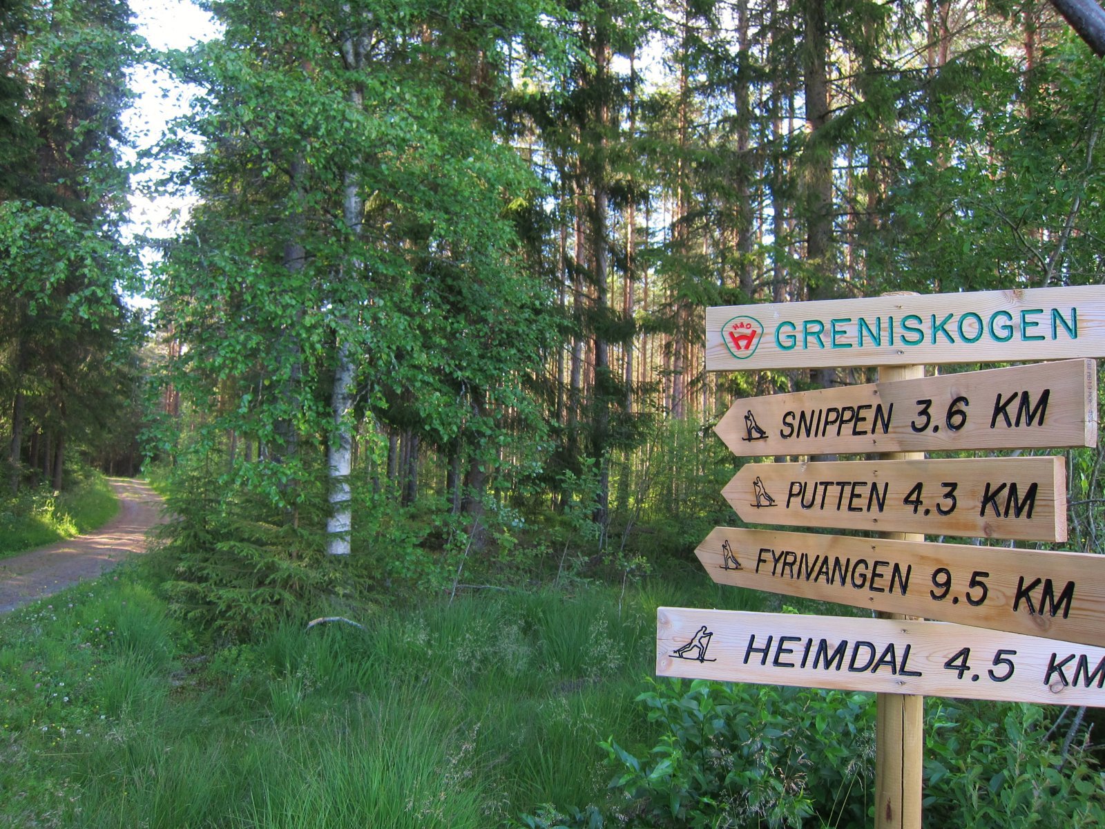 Turmuligheter fra Greniskogen