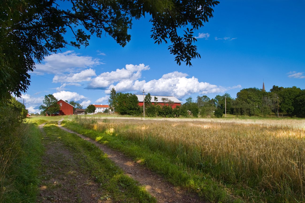 Turveien forbi Tanum gård