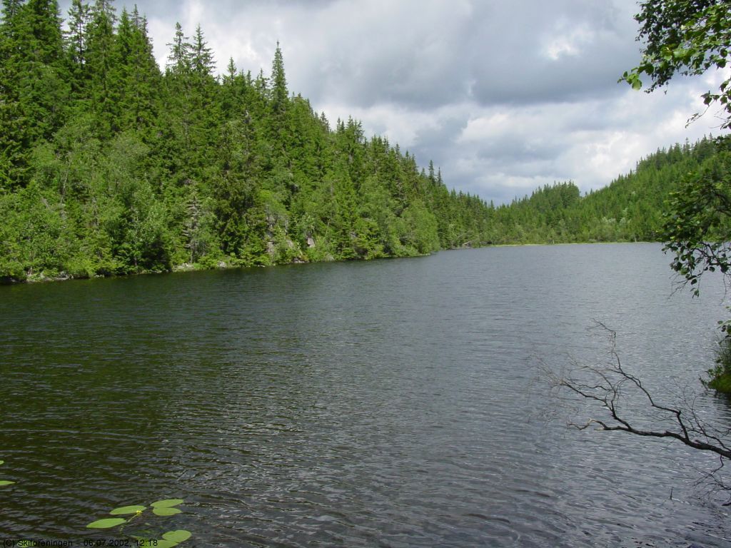 Tvekjellerne (5) nordre