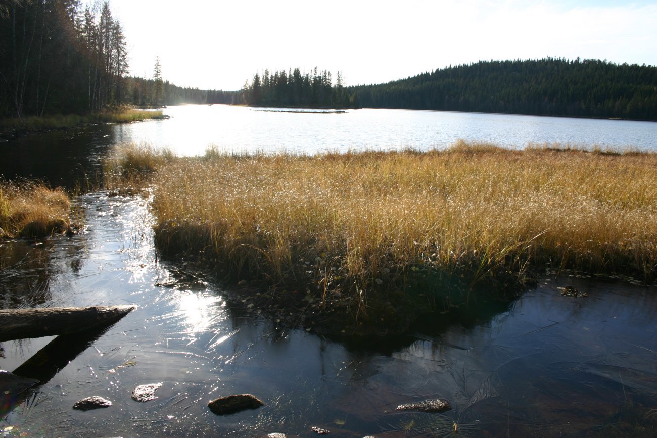 Tynn is på Store Fidlingen