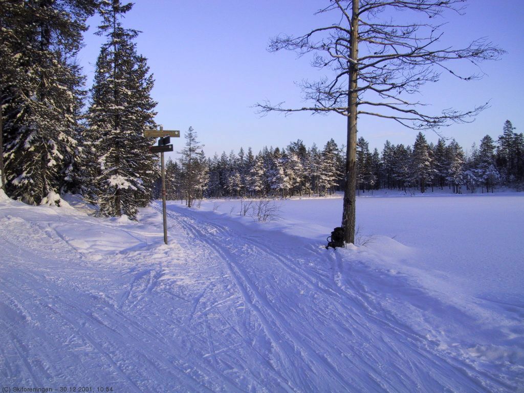 Tyve minus på Abbortjern?