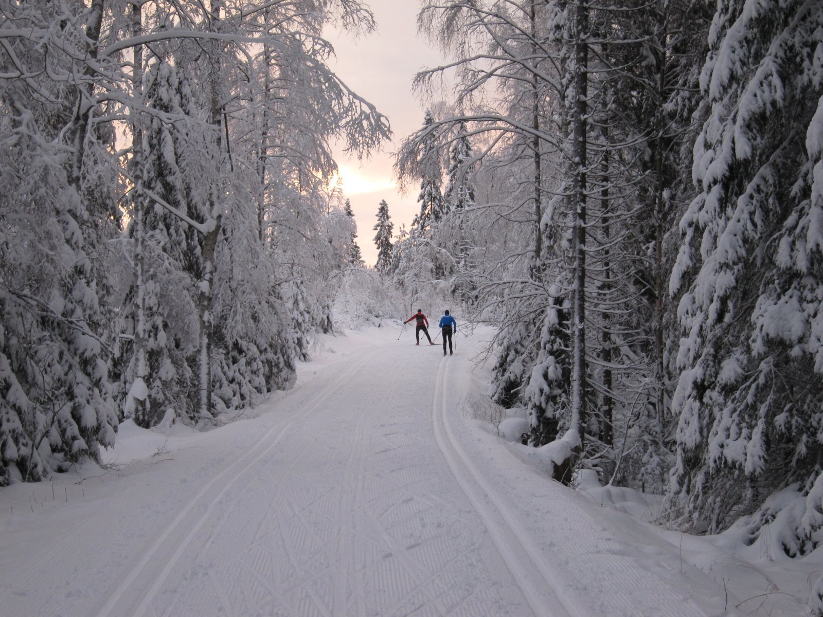 Ulike stilarter på vei mot Solemskogen