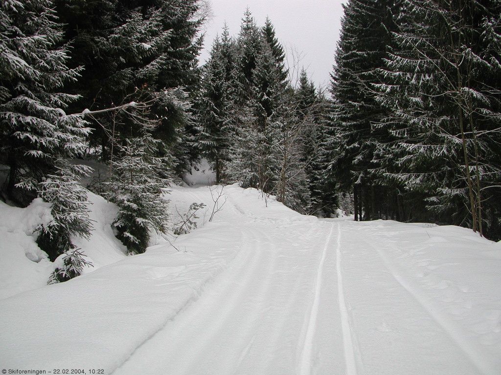 Umerket løypekryss i lia over Bjorvann