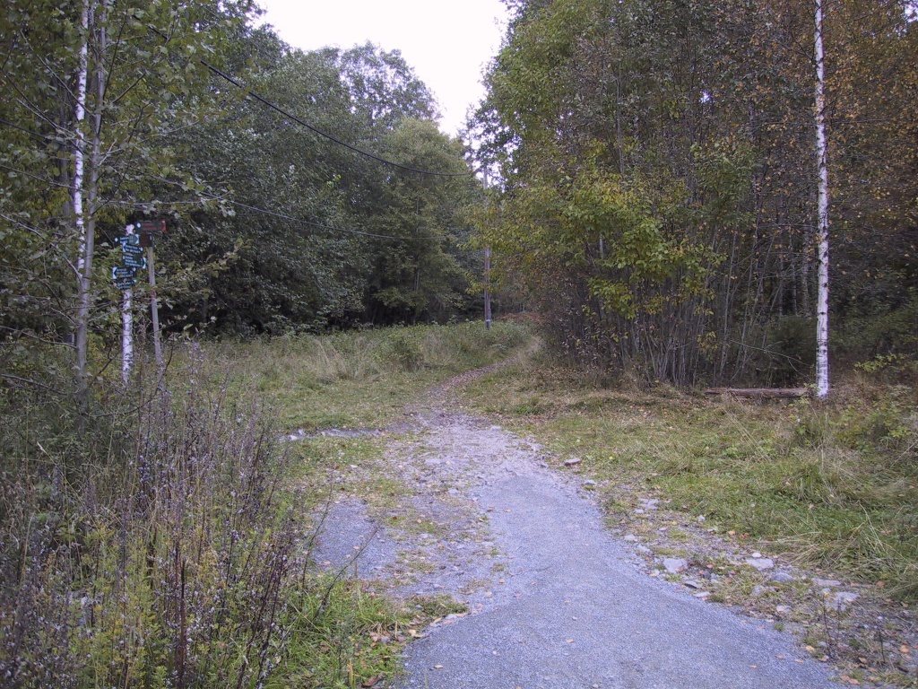 Ut av skogen, inn på veien