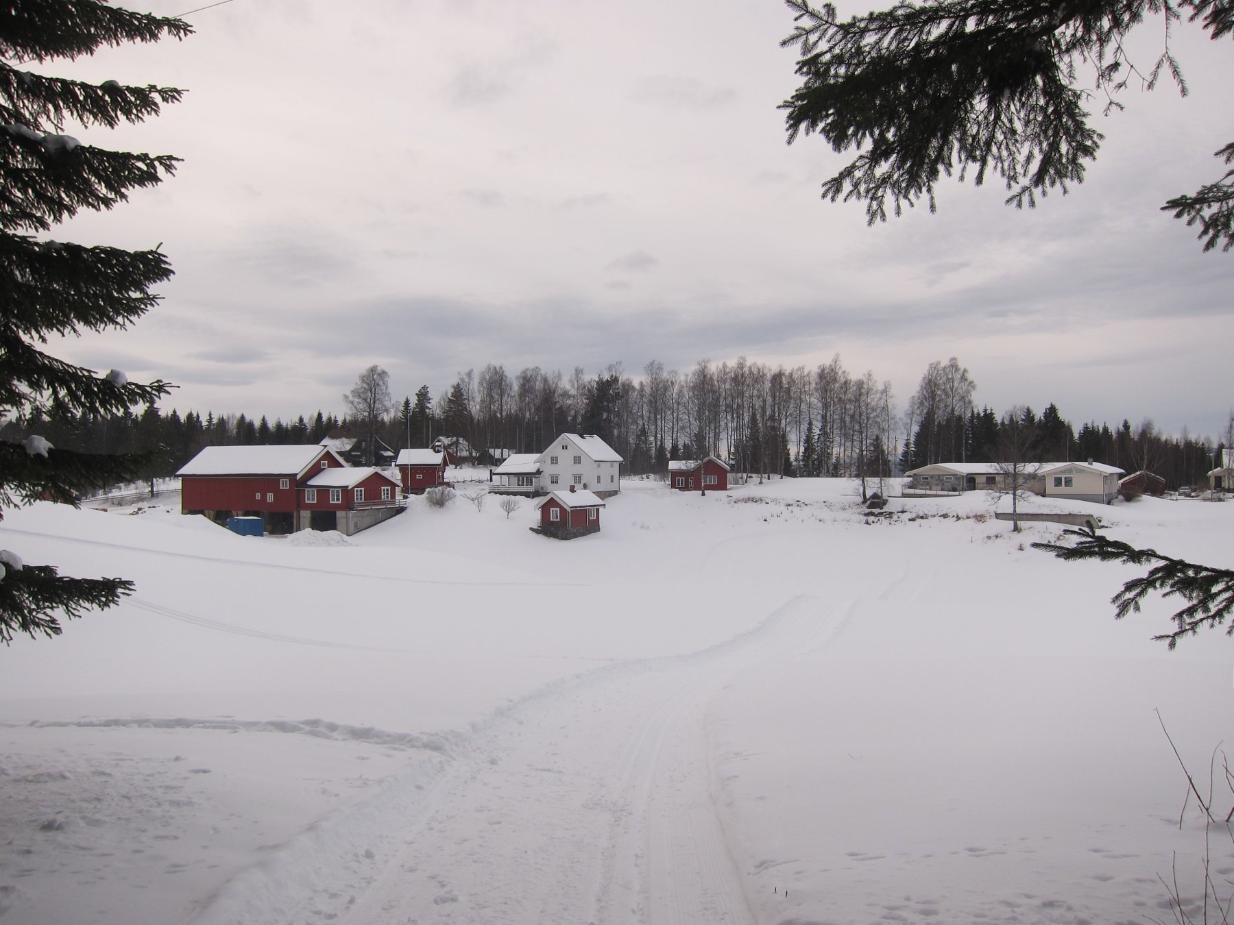 Ut av skogen - ned til Løvås