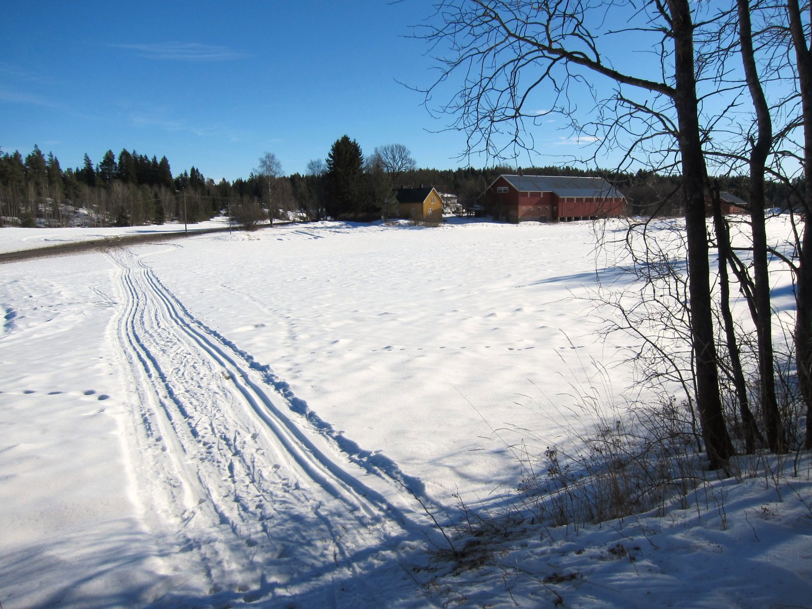 Ut av skogen ved Granerud