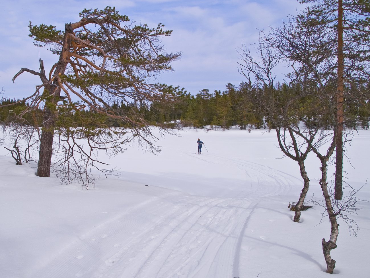 Ut på Lille Gyrihaugtjern
