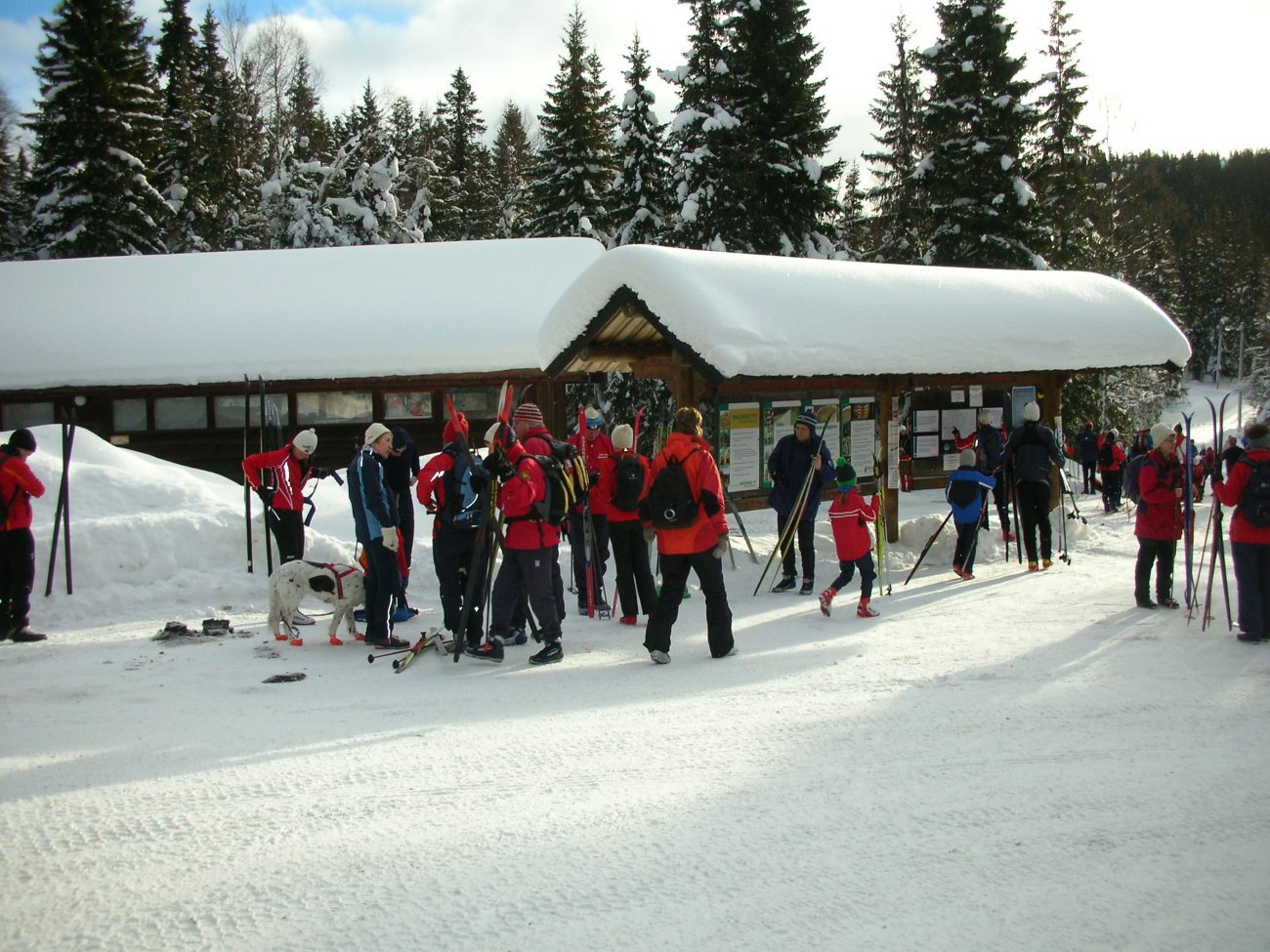 Ut på tur - fra Ringkollen