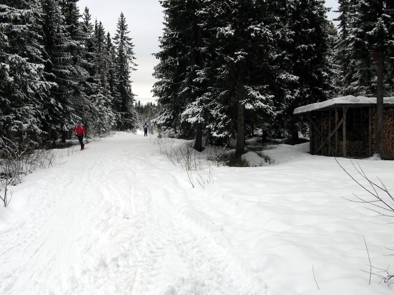 Utfart ved Hørstadskogen