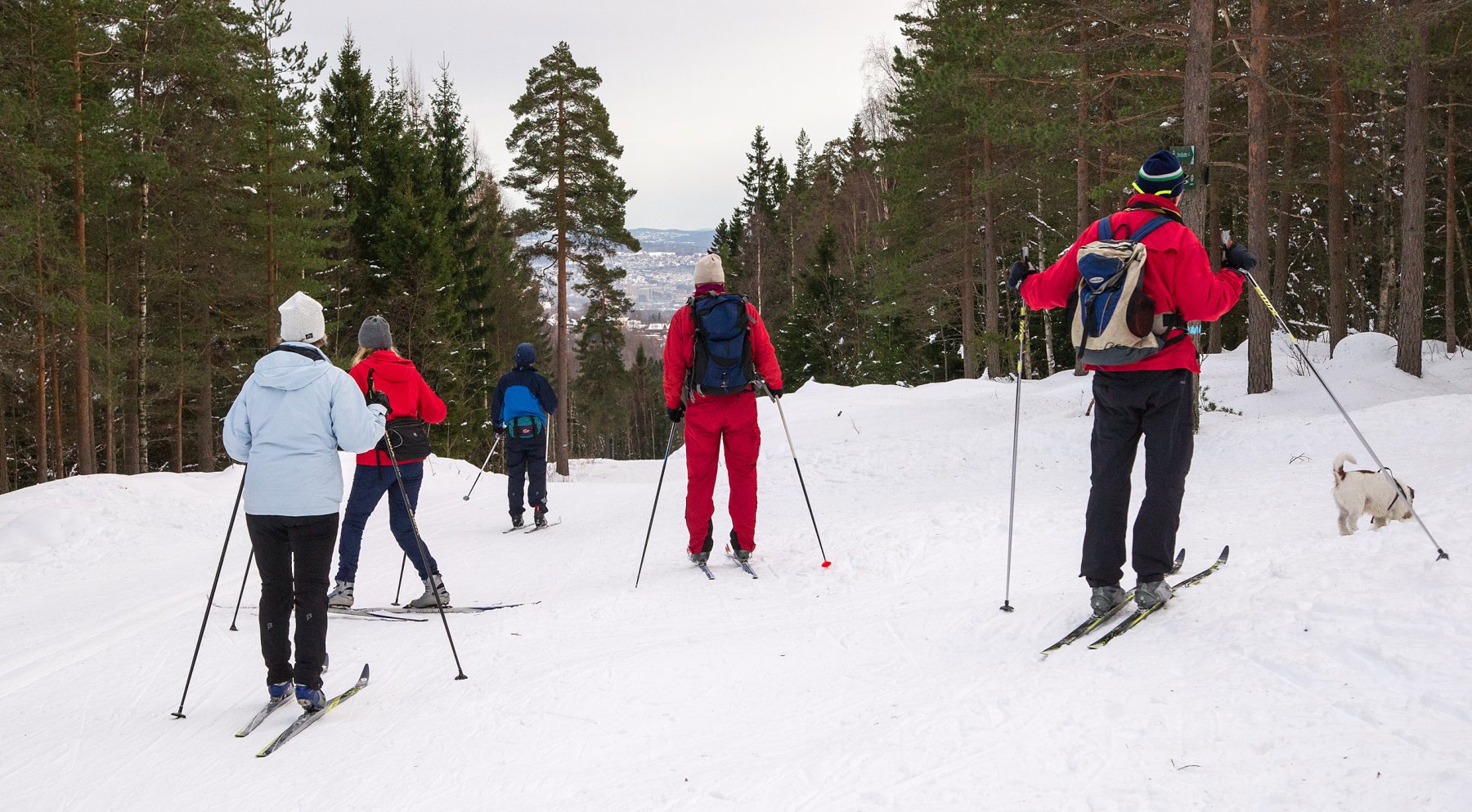 Utforkjøring i Måneskinnsløypa