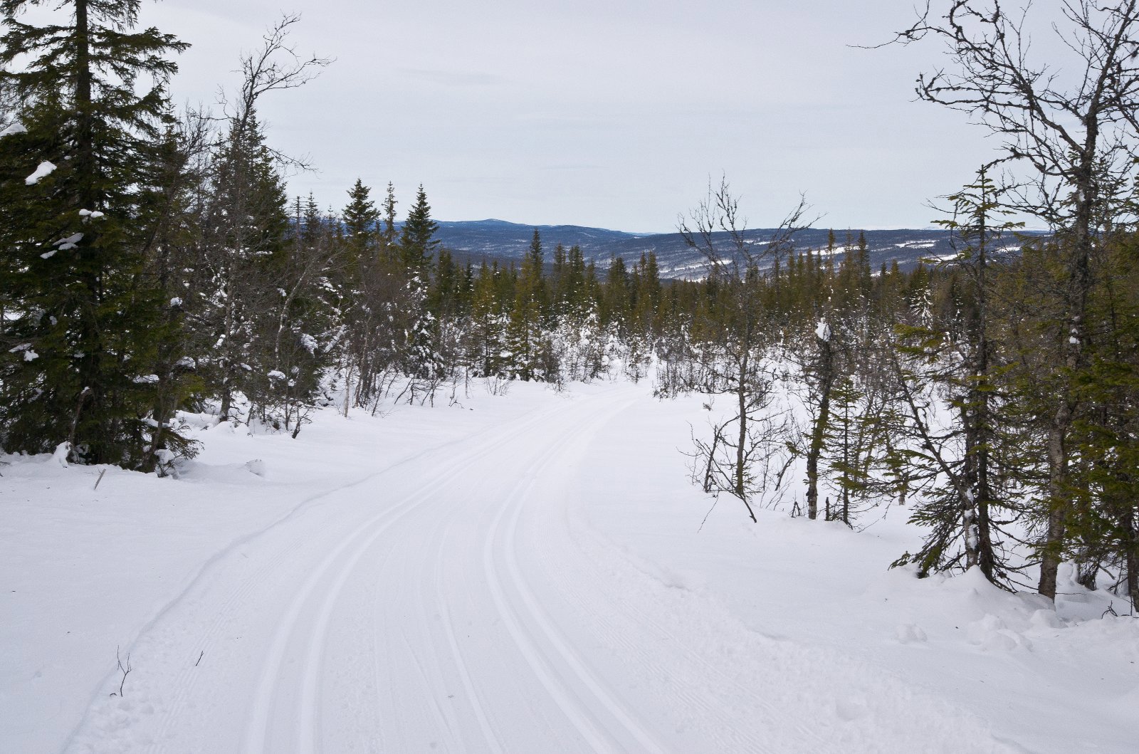 Utforkjøring i vente