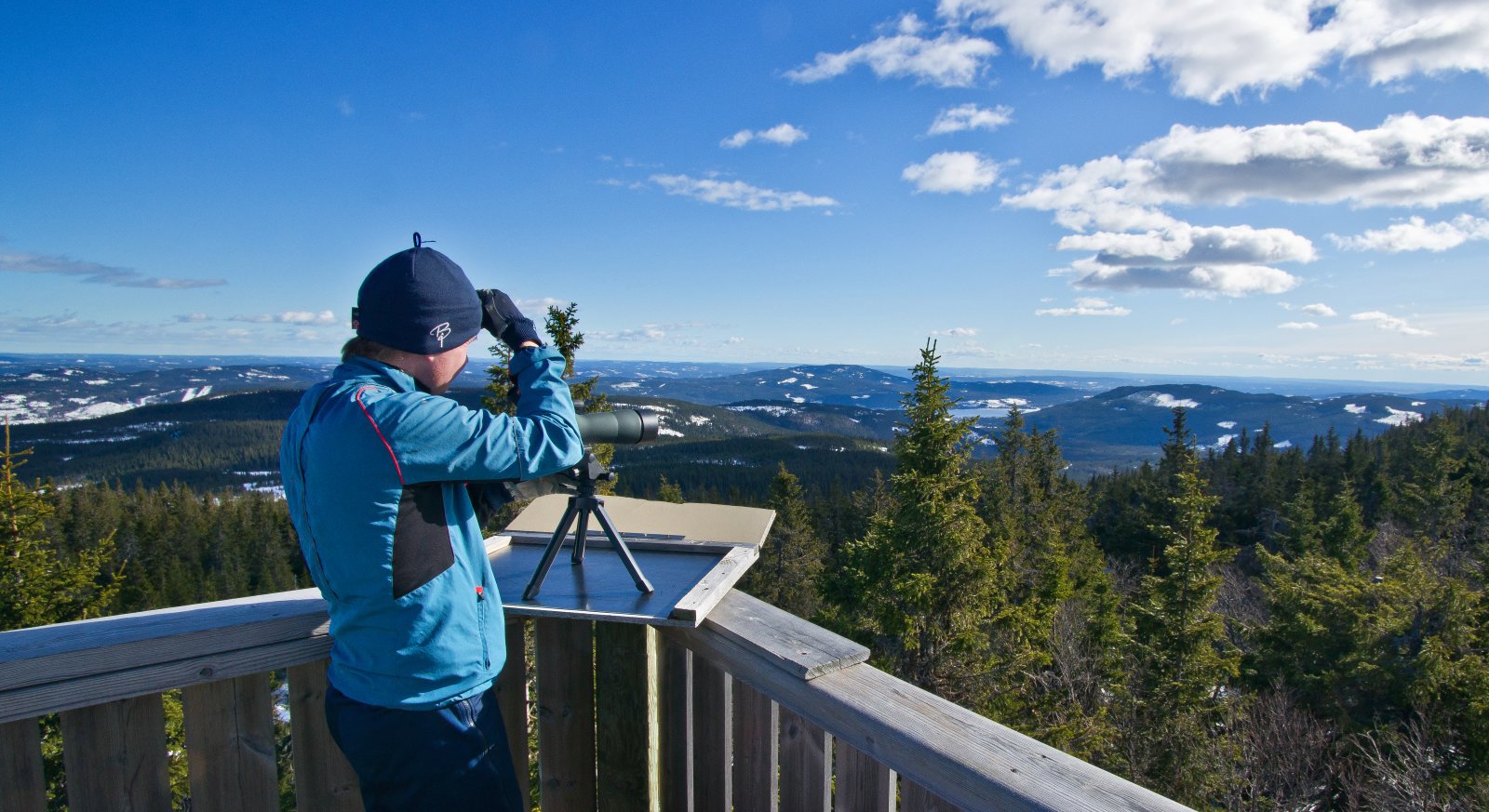 Utsikt fra Akershus': høyeste topp