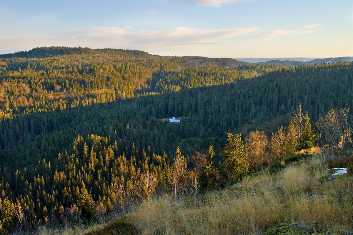 Utsikt fra Bessliåsen mot Tjæregrashøgda