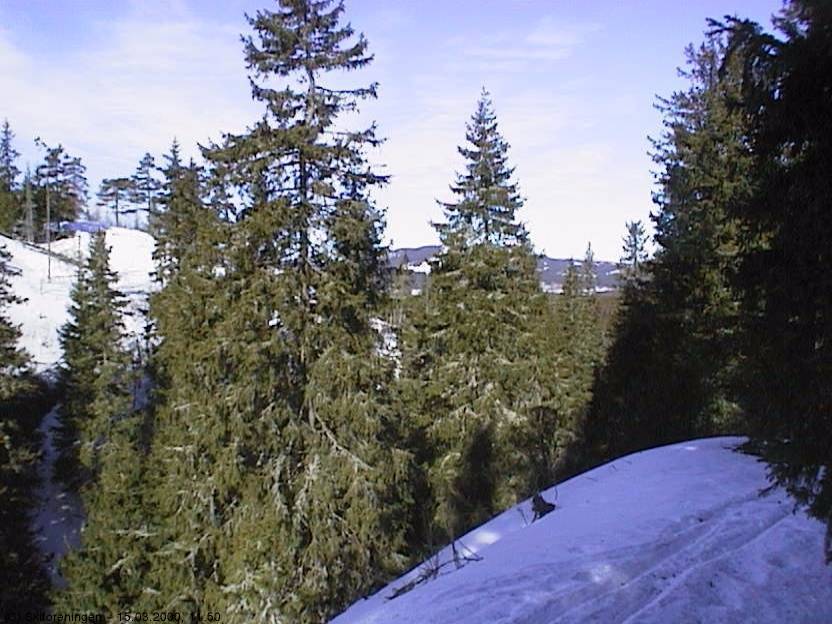 Utsikt fra Bjørnedelet mot Kikut