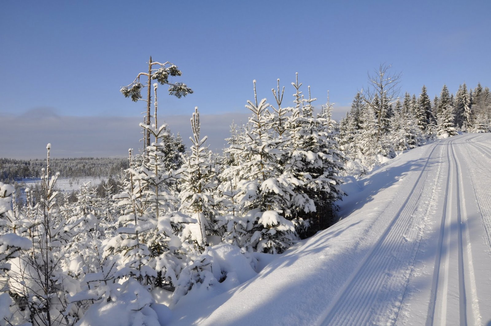 Utsikt fra Brøstadvangen