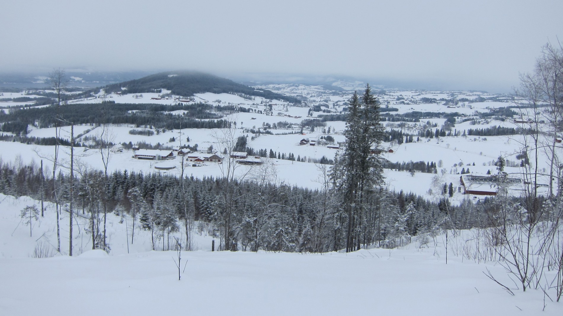 Utsikt fra Buhammeren
