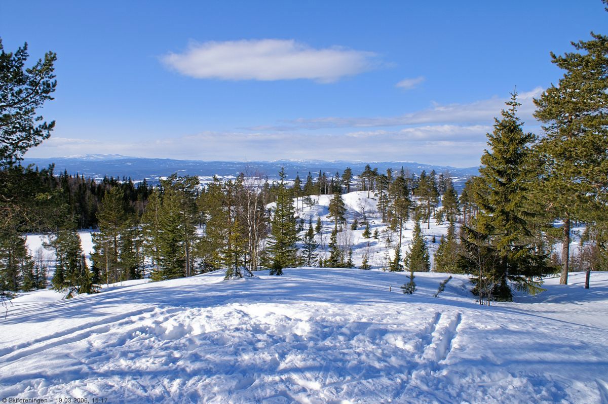 Utsikt fra en av Krokskogens vakreste løyper