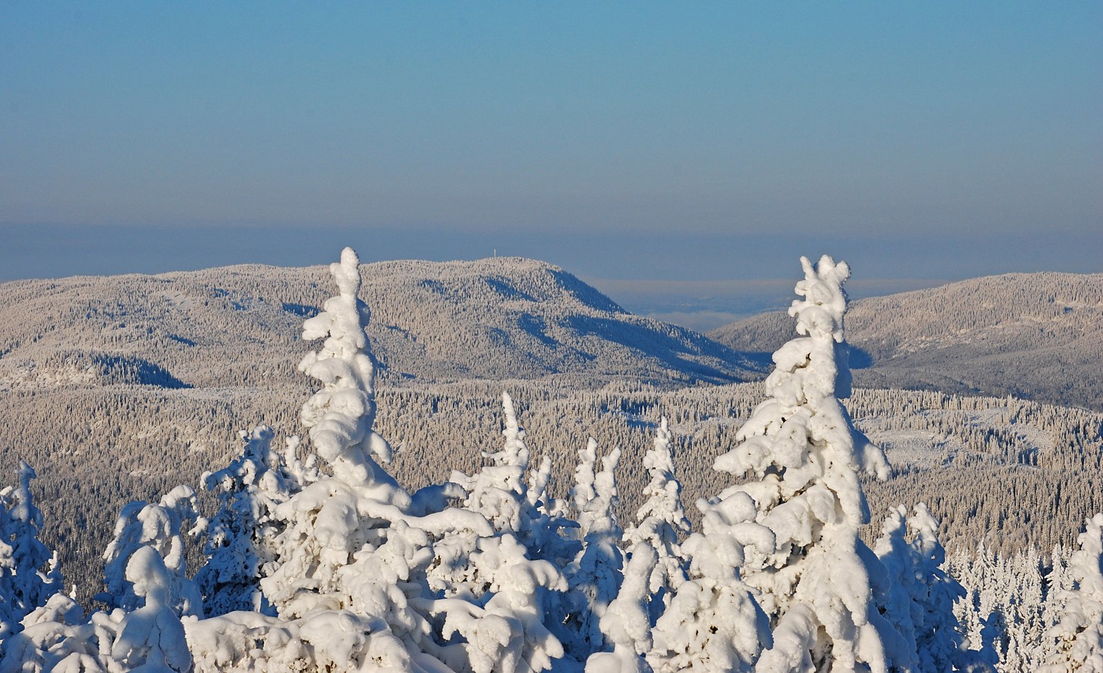 Utsikt fra Fjellsjøkampen mot Torsæterkampen