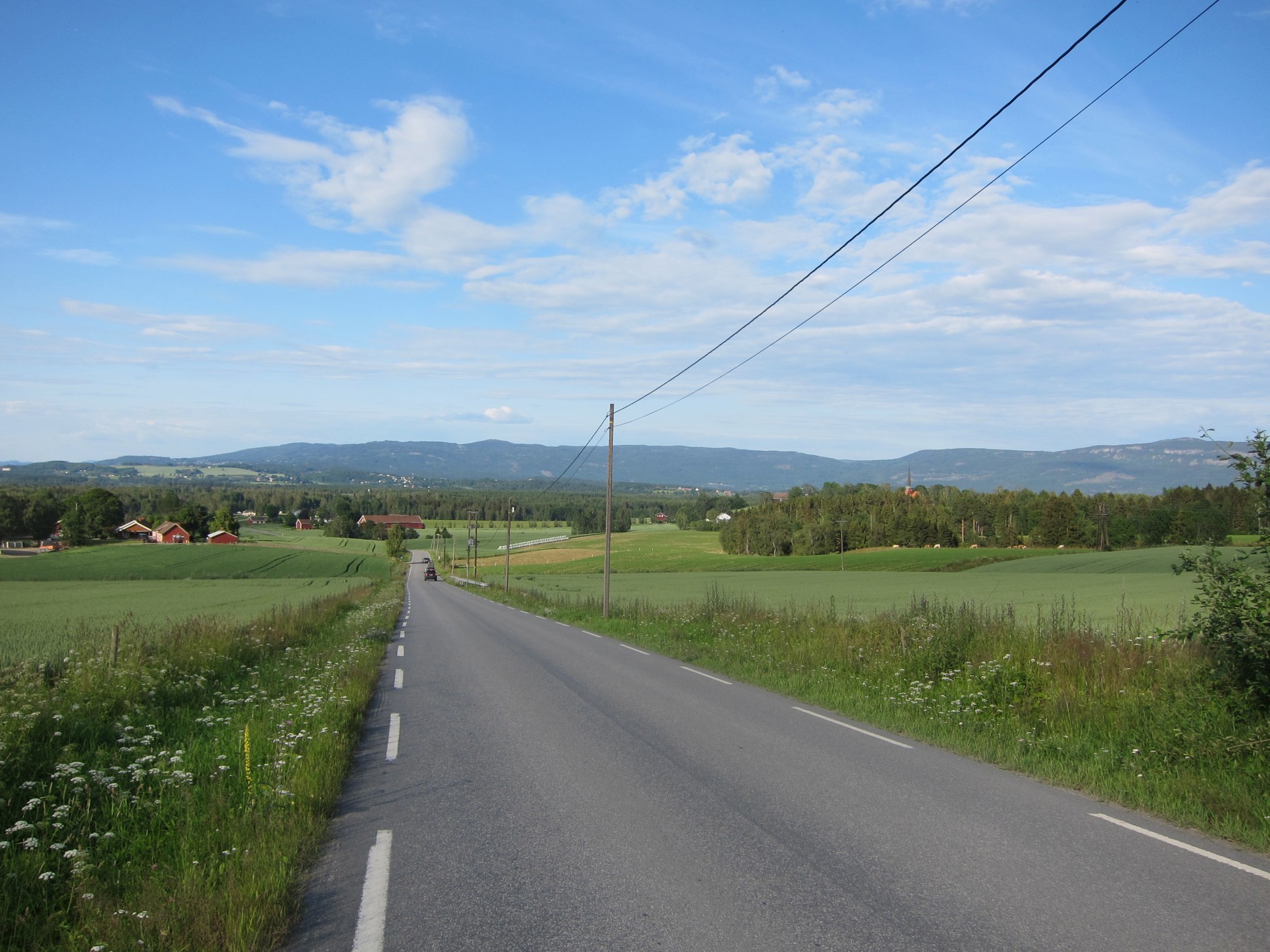 Utsikt fra Gomnesveien