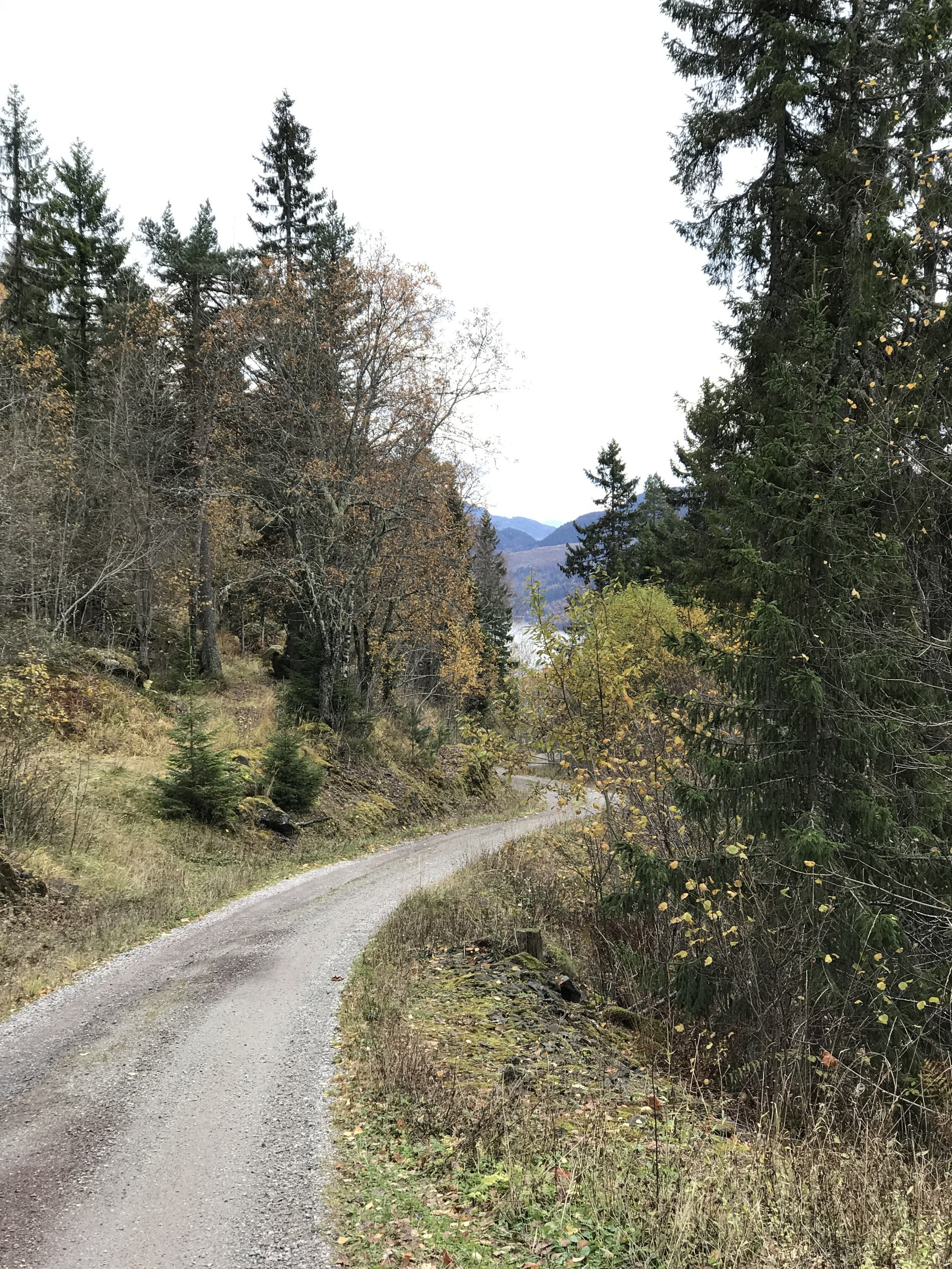 Utsikt fra Homledalsveien