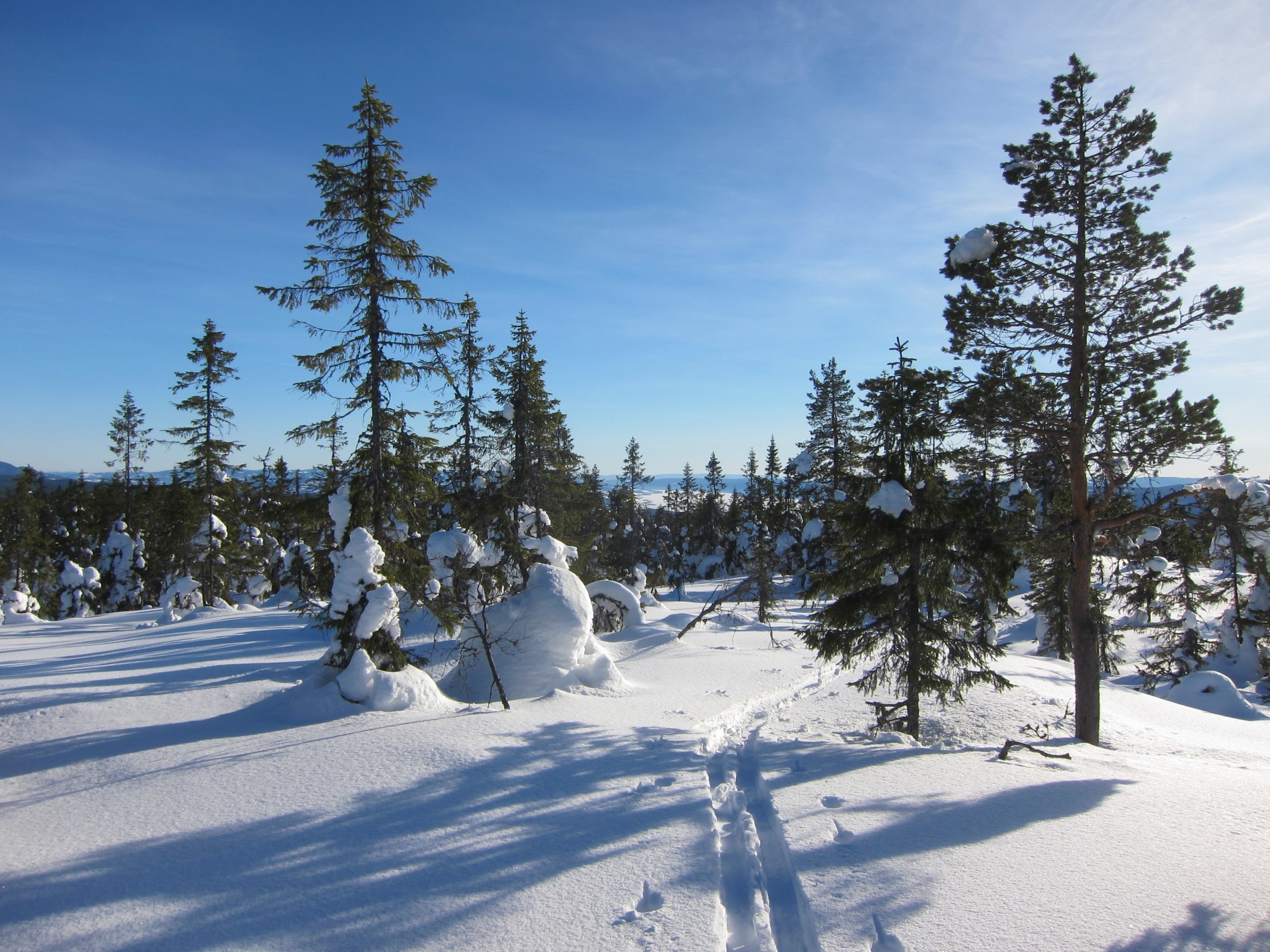 Utsikt fra Kvitingen