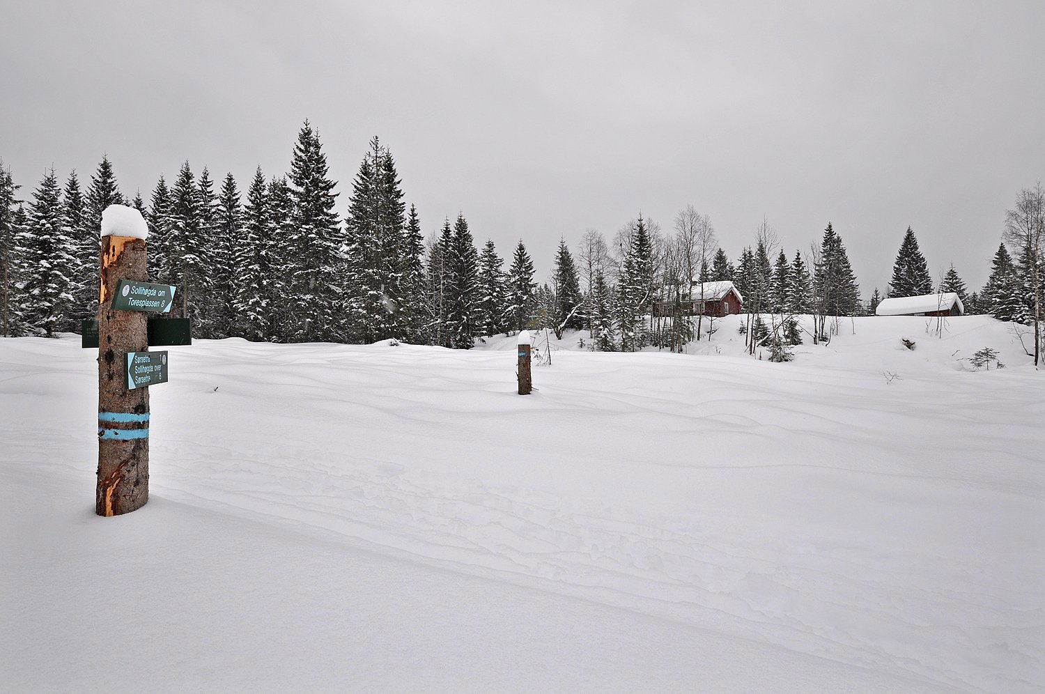 Utsikt fra løypa mot Kneikasetra
