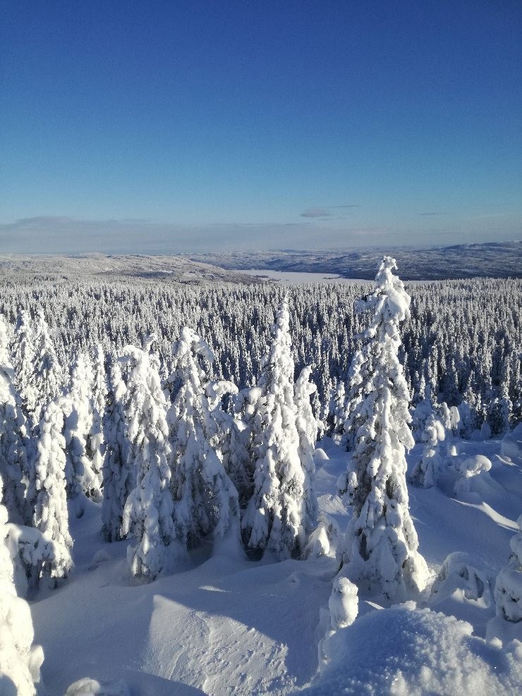 Utsikt fra Marifjell
