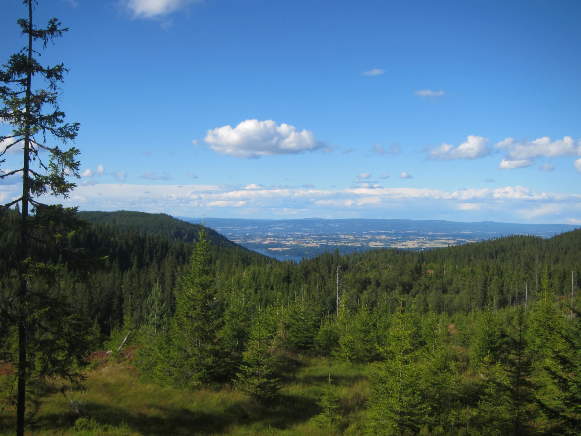 Utsikt fra Mortenskollen