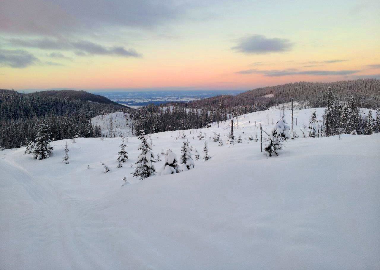 Utsikt fra Mortenskollen mot Hamar