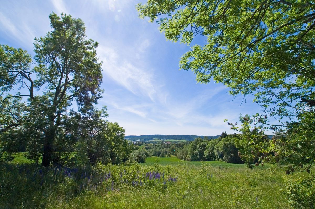 Utsikt fra Nedre Ringnes