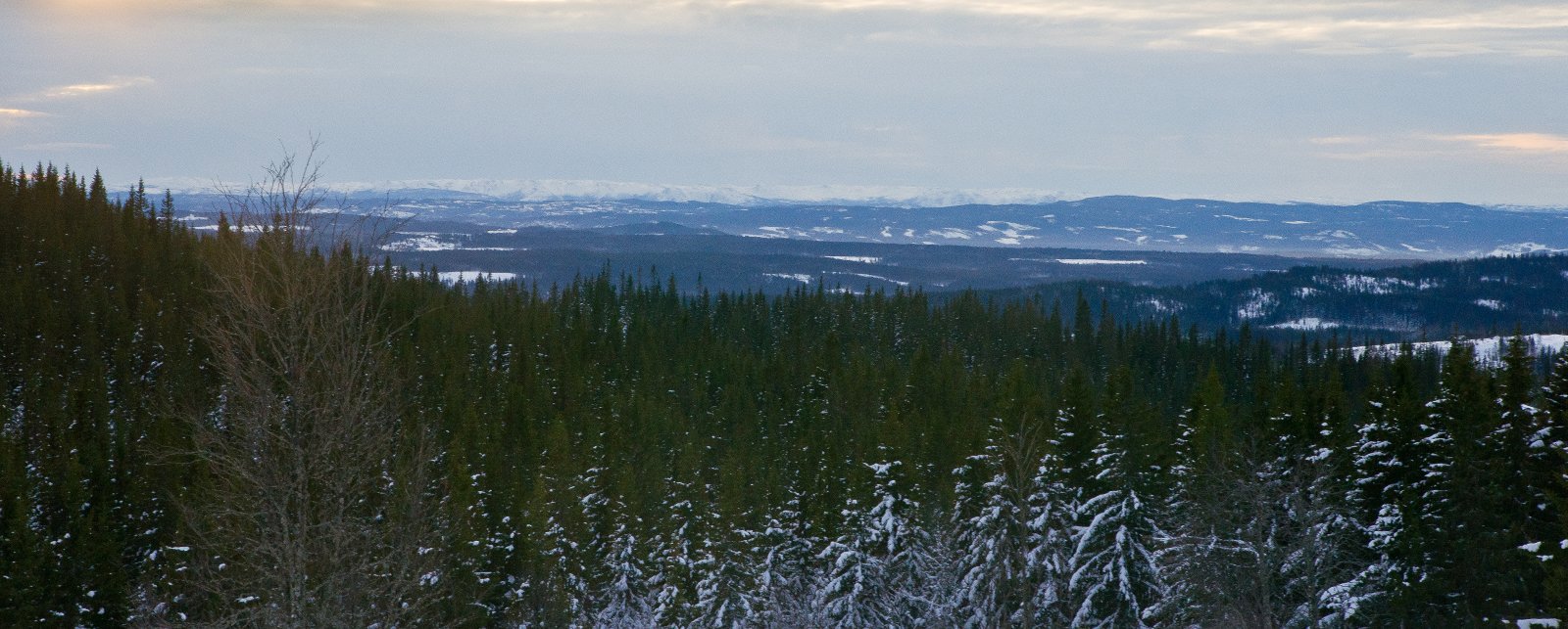 Utsikt fra Redalssætra