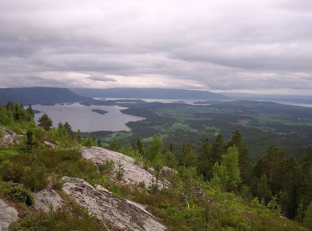 Utsikt fra Ringkollveien over Ringerike