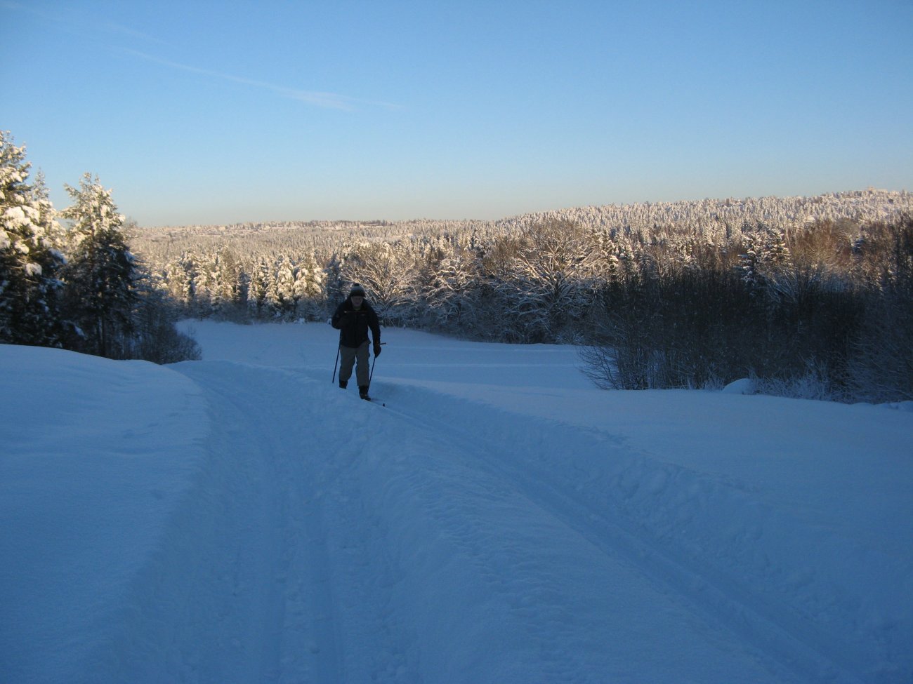 Utsikt fra Svartskog-løypa.