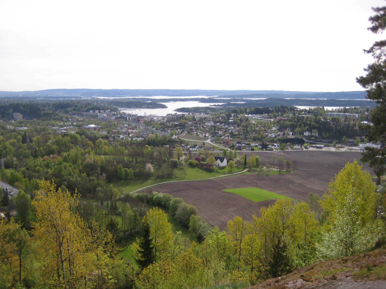 Utsikt fra Tanumfjellet