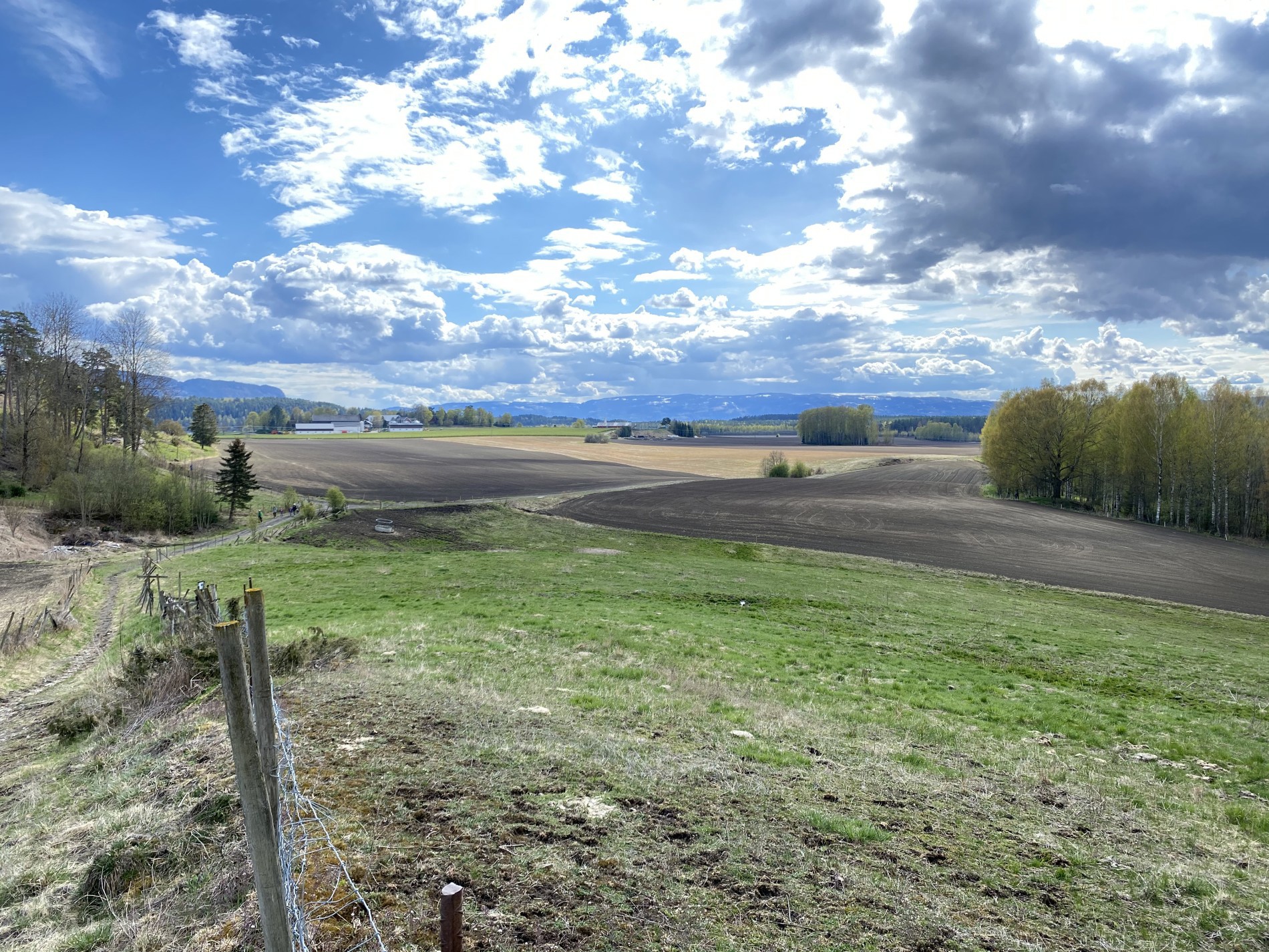 Utsikt fra toppen av Bergerbakka rett sydover