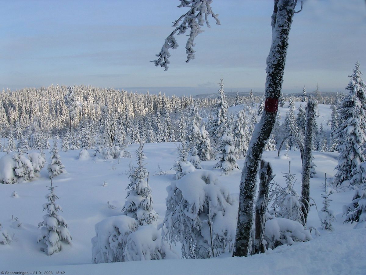 Utsikt fra toppetasjen av Bærumsmarka